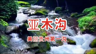 股票ETF本周资金净流入高达724.68亿元